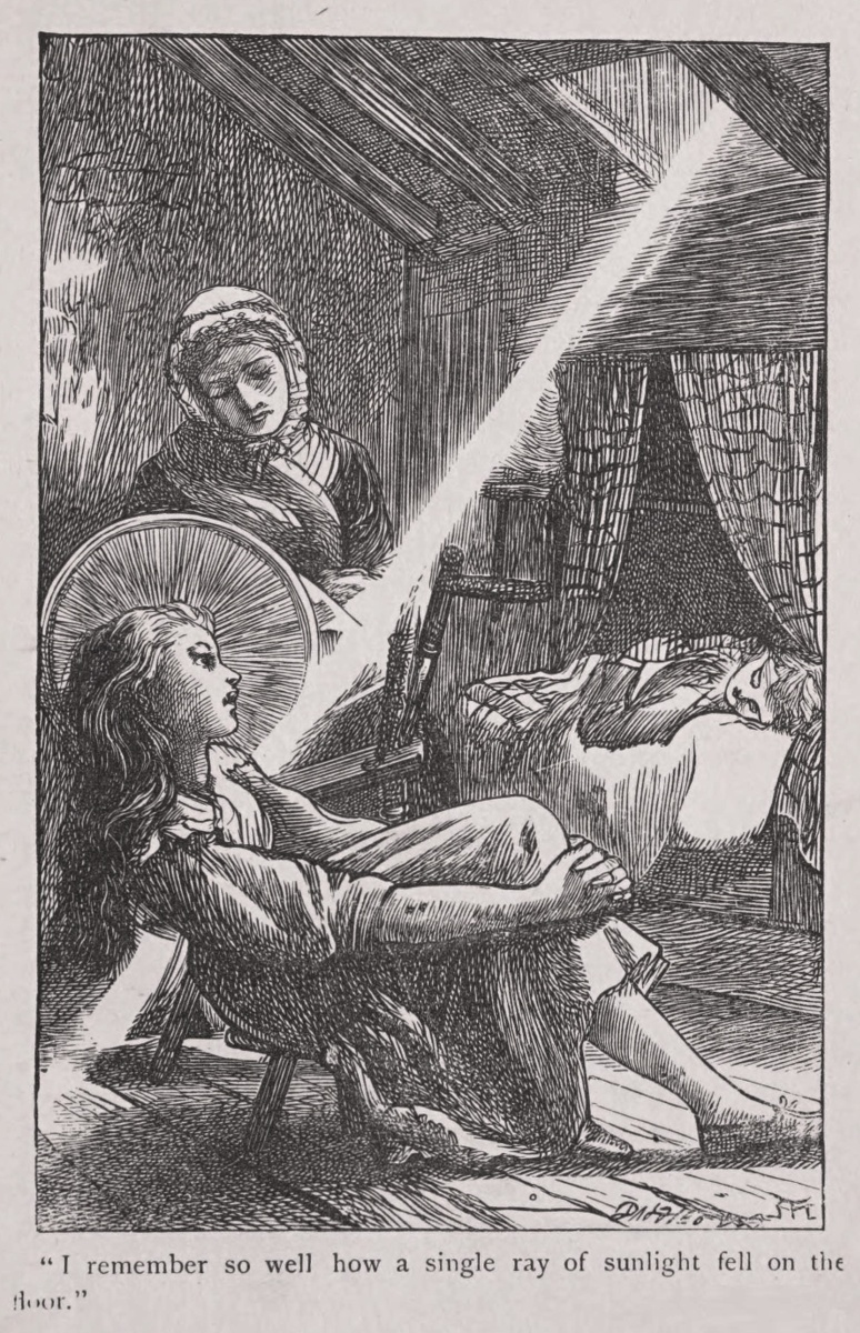 ray of sunlight fell